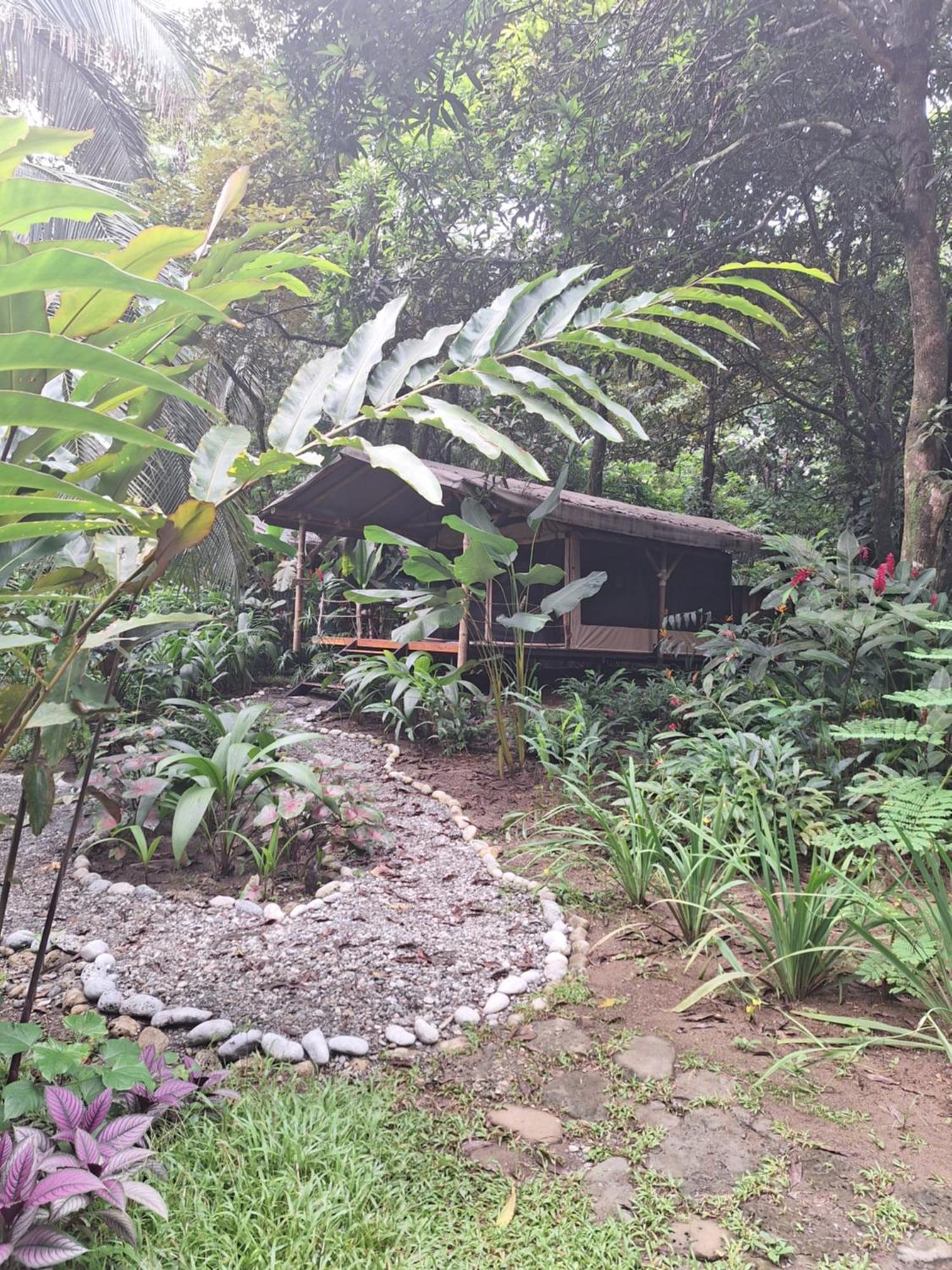 Four Monkeys Eco Lodge - Jungle & Beach Cabo Matapalo Exteriör bild