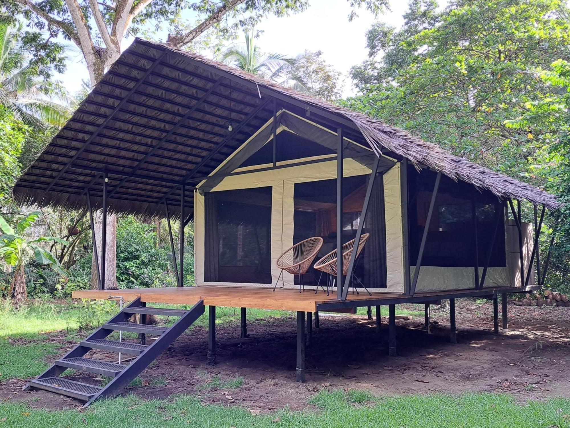 Four Monkeys Eco Lodge - Jungle & Beach Cabo Matapalo Exteriör bild