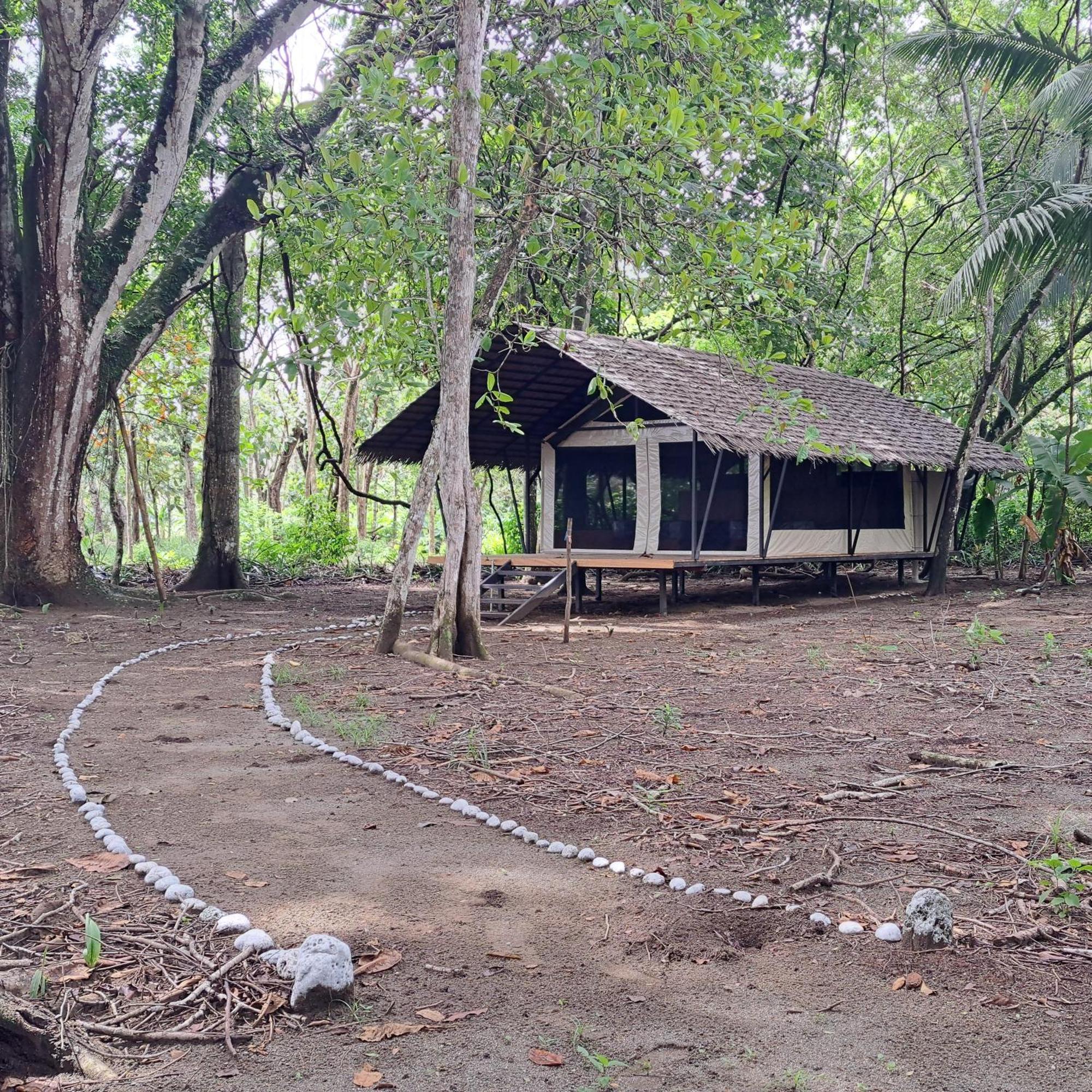 Four Monkeys Eco Lodge - Jungle & Beach Cabo Matapalo Exteriör bild